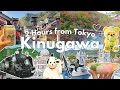 Escape Tokyo for Kinugawa Onsen ♨️ | Japanese Hot Spring & Edo Wonderland Vlog