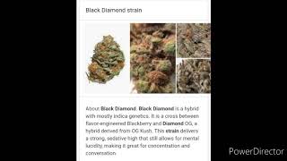 Black Diamond Review