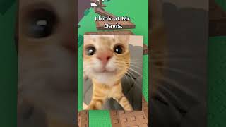 Mr. Davis Is The Best Wingman Of All Time 😭🙏 #roblox #relatable #memes