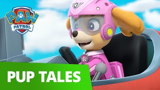 Paw Patrol - Pups Save Aces Plane - Rescue Episode - Paw Patrol Official & Friends