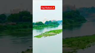 #view the Taj Mahal from tha train🤞 #agra #travel