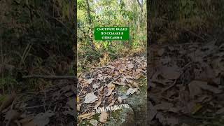 Сколько ступеней у засыпанной пирамиды Choan Sram?  #cambodia  #камбоджа