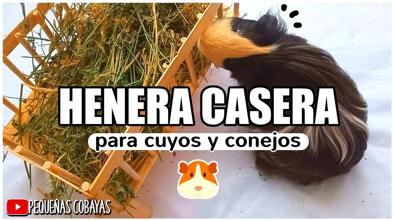 HENERA para CUYOS Y CONEJOS 🐰 CASERA - DIY