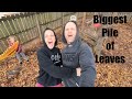 Biggest Pile of Leaves