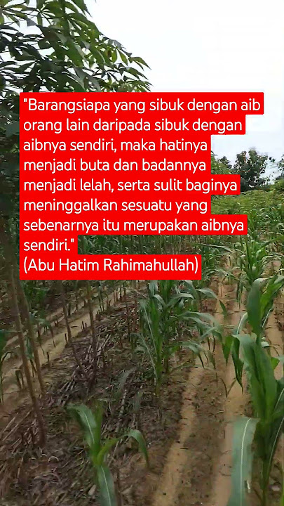 Sibuk dengan aib orang lain #trending #viralvideo #shorts