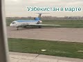 Сюрприз от мужа. Летим бизнесом в Узбекистан ✈️