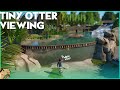UNDERWATER VIEWING OTTER Habitat- Lost Aqualand 11 Planet Zoo DLC