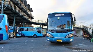 MATA BESAR Bus Big Bird | plus Telolet Natama Trans