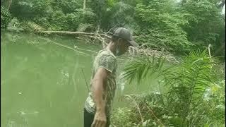 lonceng teriak teriak pancing nggak mau ditinggal