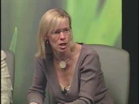 How Much Time to Act on Climate Change? 2008 (Clip...