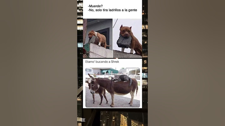 hola, estamos buscando a Shrek #humor #memes #risa #short