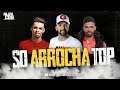 SELEÇÃO ARROCHA MARÇO 2020 - UNHA PINTADA -  LUANZINHO MORAES - DEVINHO NOVAES - CD NOVO