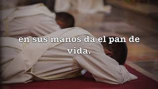 Video thumbnail of "Feliz día sacerdote: Canto y letra"