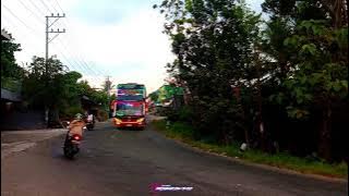 story wa bus double decker full strobo