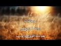 سورة القيامة بصوت المقرئ محمد أيوب