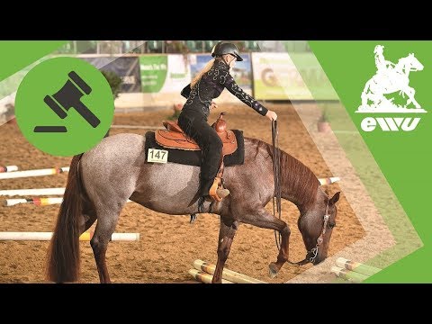 Trail Jugend | Richter erklären wie es geht | EWU German Open 2017