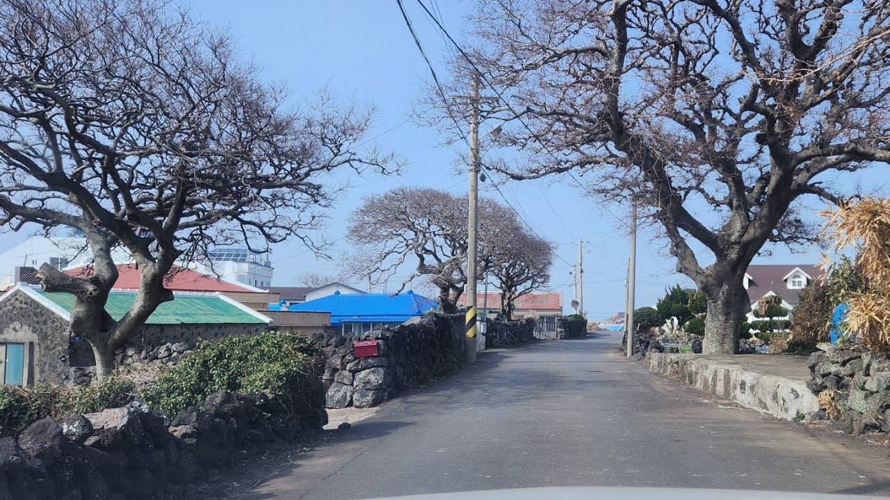 26.2.22 #머털이가암컷?? #제주날씨 #따뜻하고 #미세먼지 #오랫만에루아흐 #방학이좋았지 #꼬닥꼬닥게스트하우스 #에스프레소 #원두쟁여두기 #든든하다 #고산날씨 #춥당