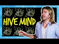 The Hive Mind in the Real World | Because Science