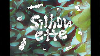 Mv Endoff - Silhouette Feat. Moim, Bluewoods