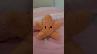this Little starfish plushie Is so soft!
