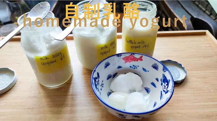 甜品教学｜自制乳酪/优格/酸奶 其实很危险 详尽解说形成(Eng Sub) – Homemade yogurt Do U know its Dangerous Detail of How & Why - 天天要闻