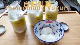 甜品教學自制乳酪/優格/酸奶 其實很危險 詳盡解說形成(Eng Sub) – Homemade yogurt Do U know its Dangerous Detail of How & Why