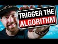 Youtube Algorithm explained to get more Views