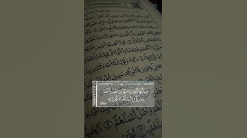 يا أيها الذين آمنوا إن تنصرو الله ينصركم و يثبت أقدامكم.. #سورة_محمد