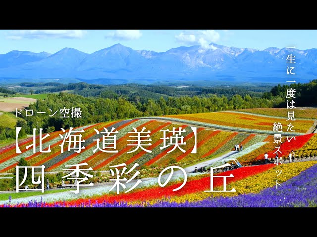 北海道 美瑛】 四季彩の丘 一生に一度は見たい絶景 ドローン空撮 - YouTube