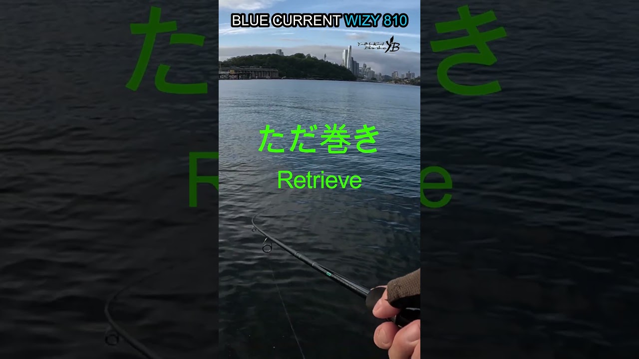 ヤマガブランク　BLUE CURRENT WIZY 810 #ショアジギング #fishing