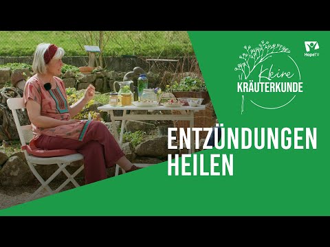 Pflanzen \u0026 Ernährung bei Entzündungen | Kleine Kräuterkunde