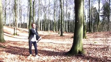 Hey Severin - This Is Your Fault