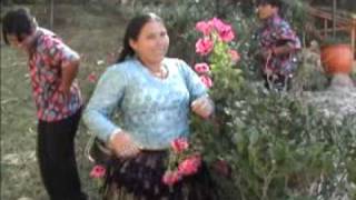 Huayño boliviano chords