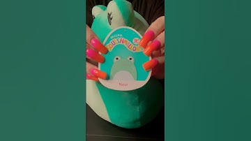 New ADORABLE SQUISHMALLOW FROG!!! #squishmallows #shorts