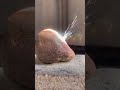 Rock is being melt by sun rays☀️