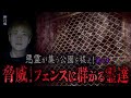 【心霊】【修行編】悪霊が集う公園を祓え! 〜第三章〜 脅威!フェンスに群がる霊達【日本最後の陰陽師 橋本京明の弟子】