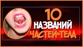 10 названий частей тела, которые вы могли не знать!