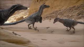 Prehistoric Planet 2 [2023] - Velociraptors Screen Time