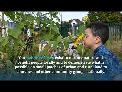 Introduction to A Rocha UK