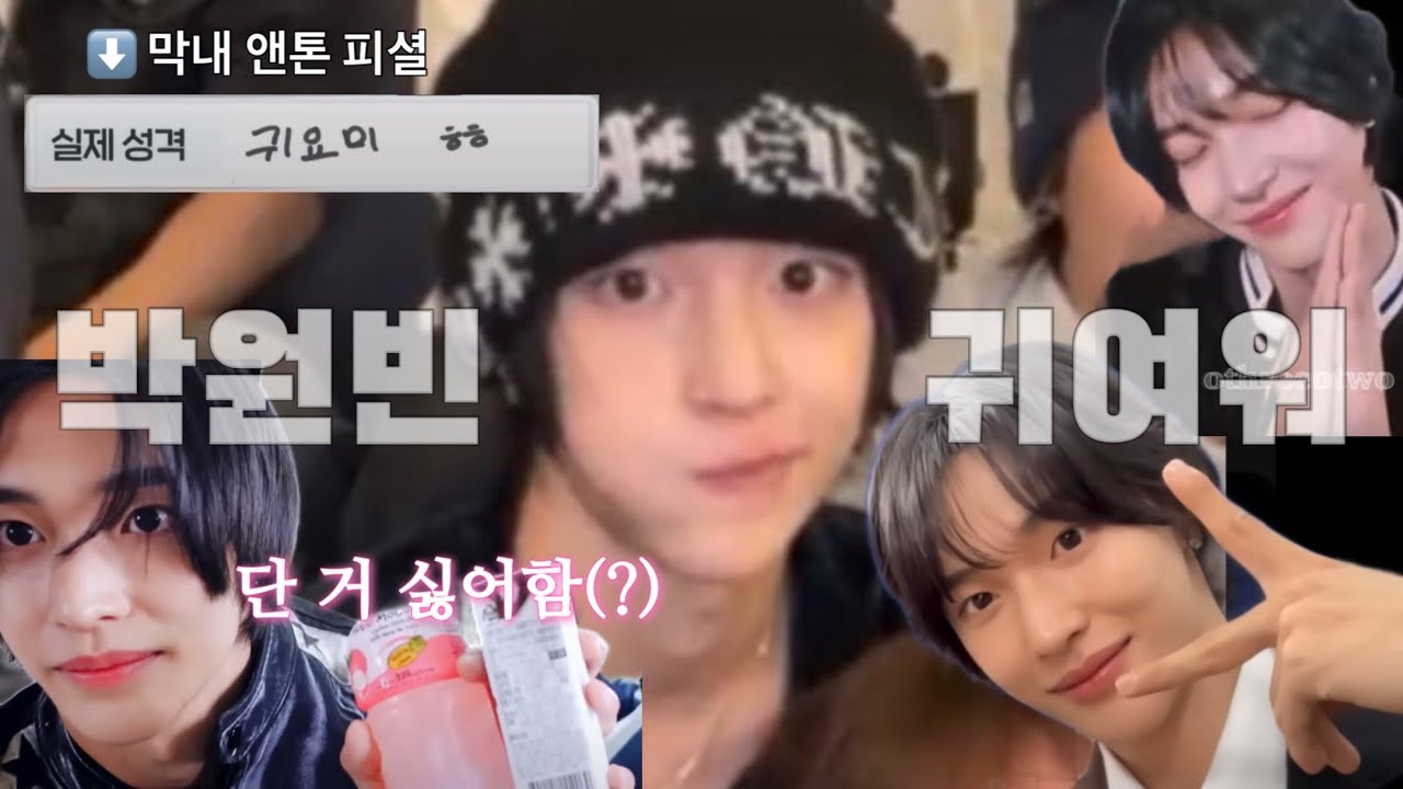 라이즈 원빈 귀여운 거 온세상에 알리는 영상