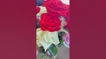 Thumbnail of Hermosas rosas, flores y canción #flores #hermosa #rosa #canción