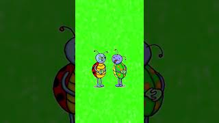 Ladybug 🐞 green screen animation