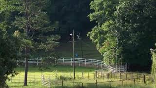 Homes for Sale - 231 Mitchell Trail Road, Love Valley, NC