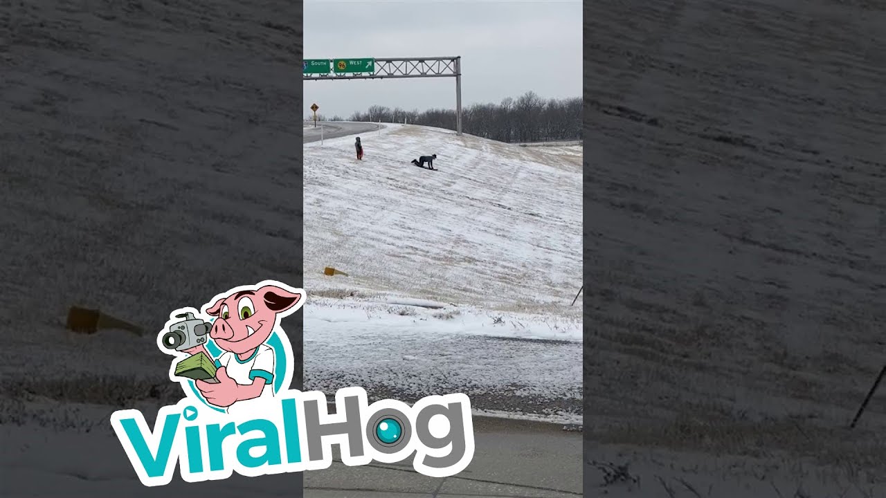 Sledding Off the On Ramp - YouTube