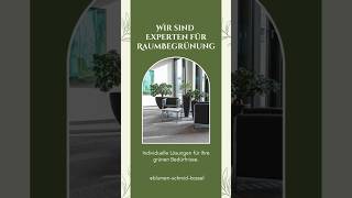 Wir Sind Experten Für Raumbegrünung Üro Ünung