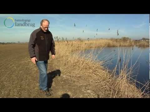 Video: Hvad kan landmænd gøre for at opnå bæredygtigt landbrug?