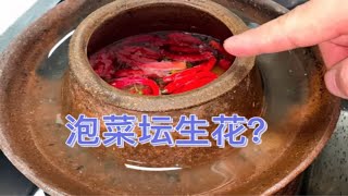 泡菜坛生花，放白酒不管用，四川人教你技巧，坛水清澈一点不生花