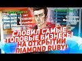 СЛОВИЛ САМЫЕ ТОПОВЫЕ БИЗНЕСЫ НА ОТКРЫТИИ DIAMOND RP RUBY!