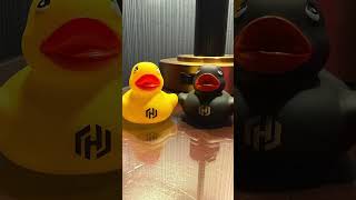 HashiConf 2025 Part 1 - San Francisco & Product Day @HashiCorp HQ