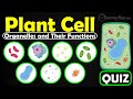 Plant Cell Organelles and Their Functions Quiz
